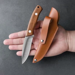 Camping stainless steel fruit knife with holster knife, men's portable outdoor fish killing knife kitchen knife