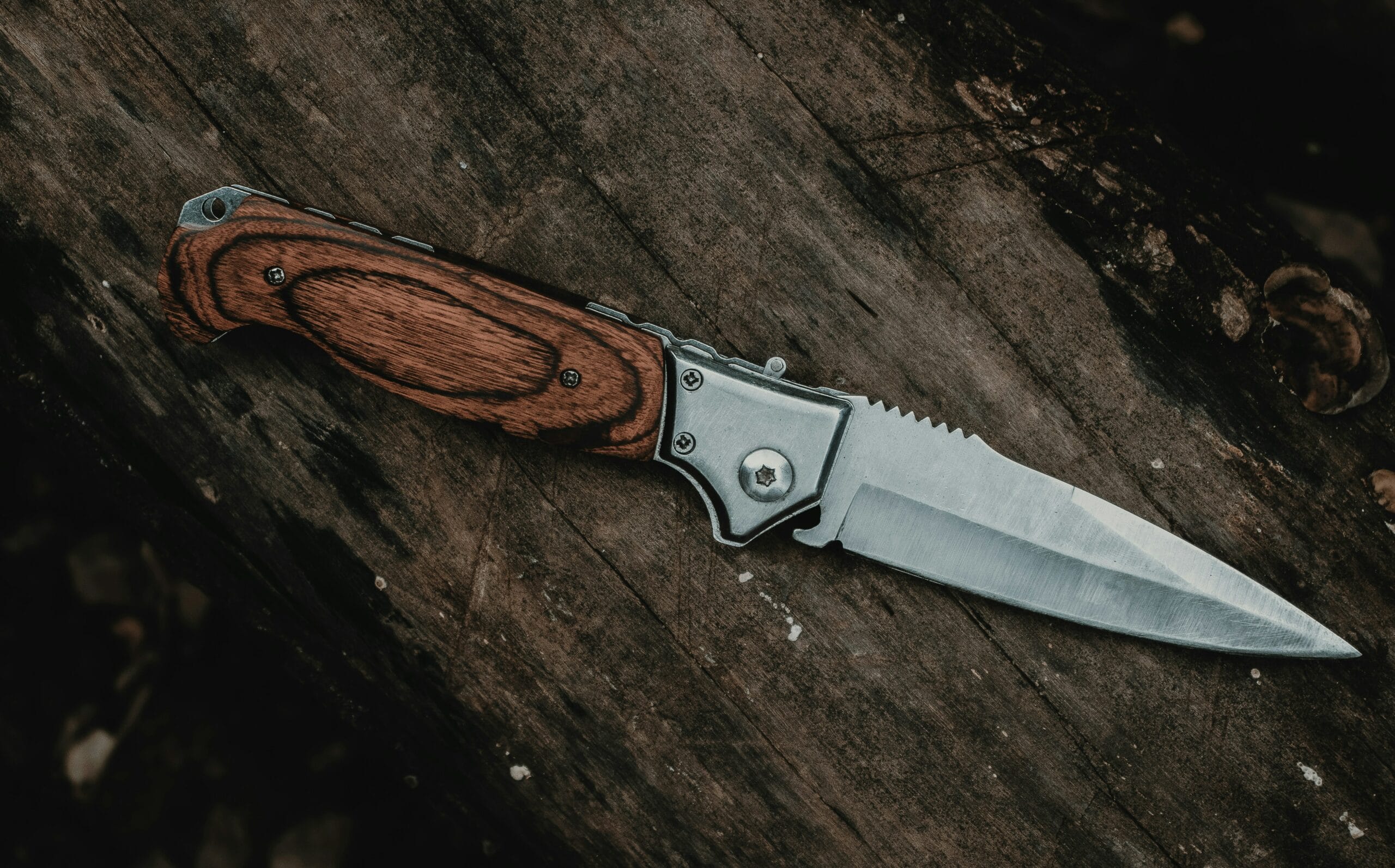 web1 1 HMMA Best kitchen knives HMMA Best kitchen knives