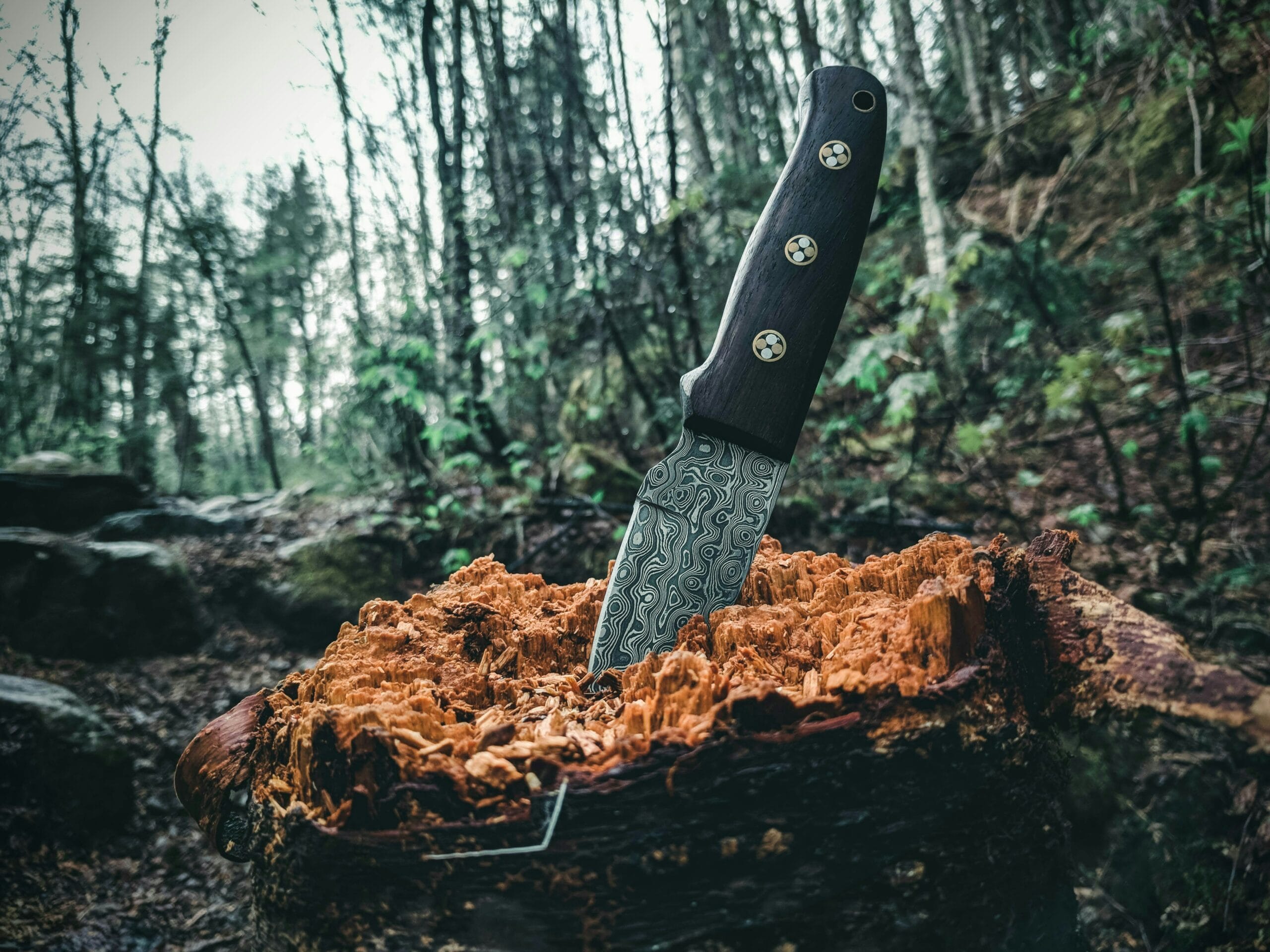web1 20 HMMA Best kitchen knives HMMA Best kitchen knives